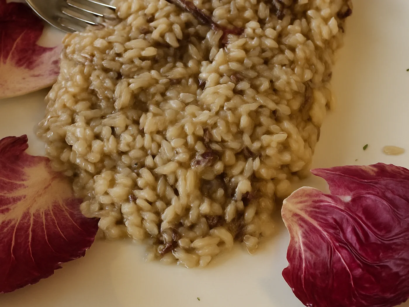 Risotto al radicchio